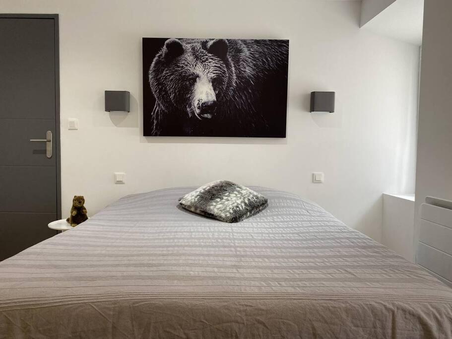 Appartement Au Grand Duc à Cauterets Extérieur photo